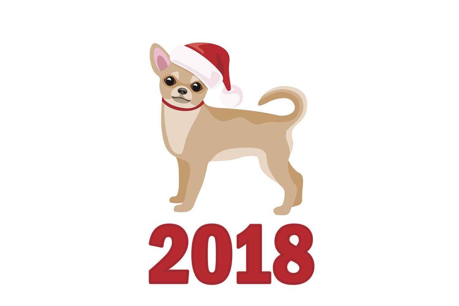 揭秘属猪人2025年运程：机遇与挑战并存