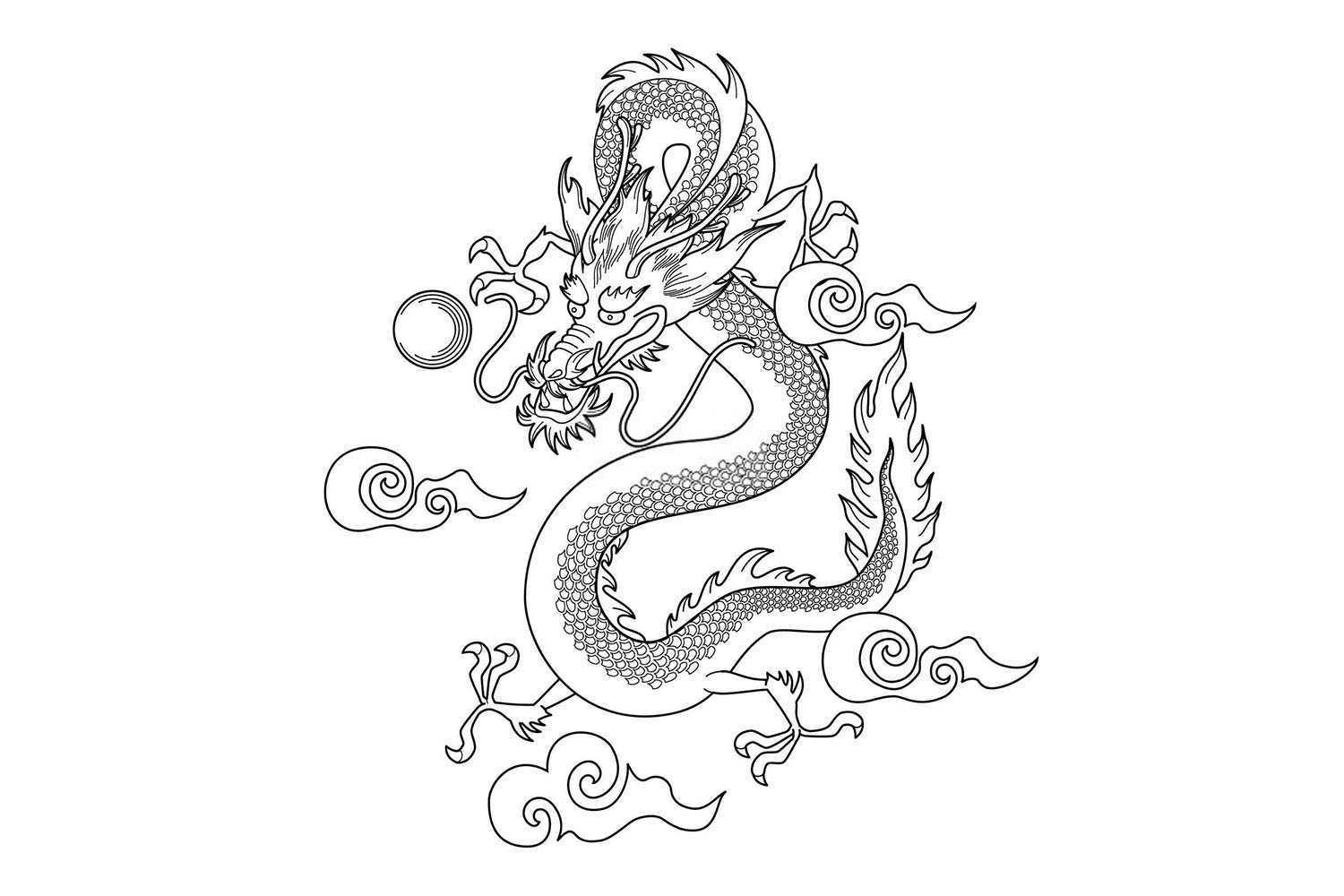 什么属相的人不能养鹅？