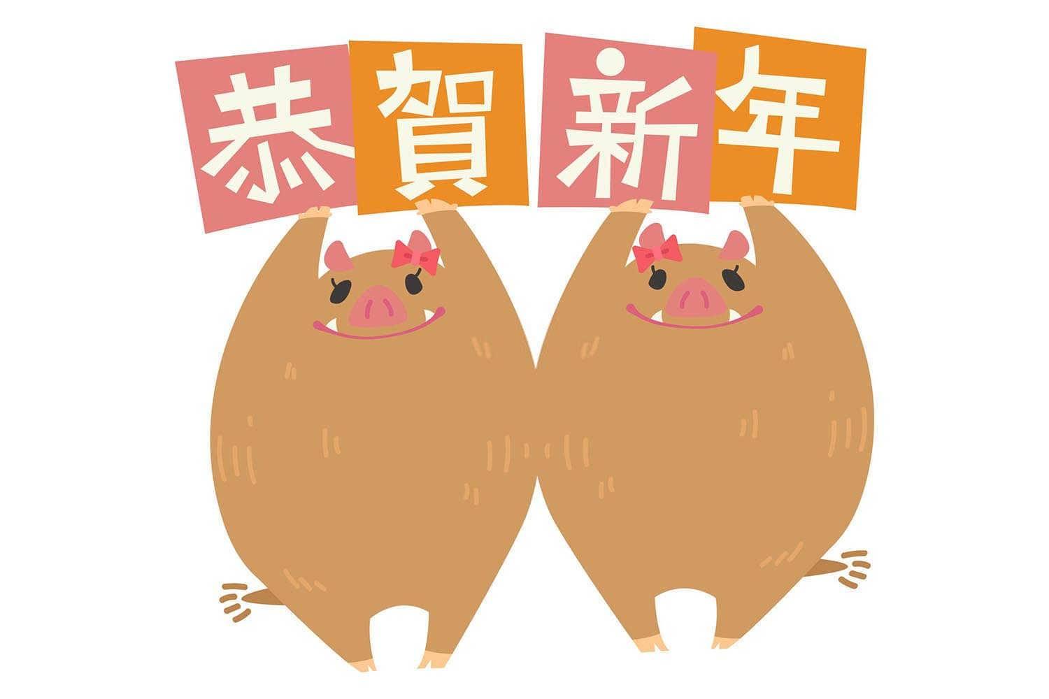 十二生肖属什么的人长得最好看？