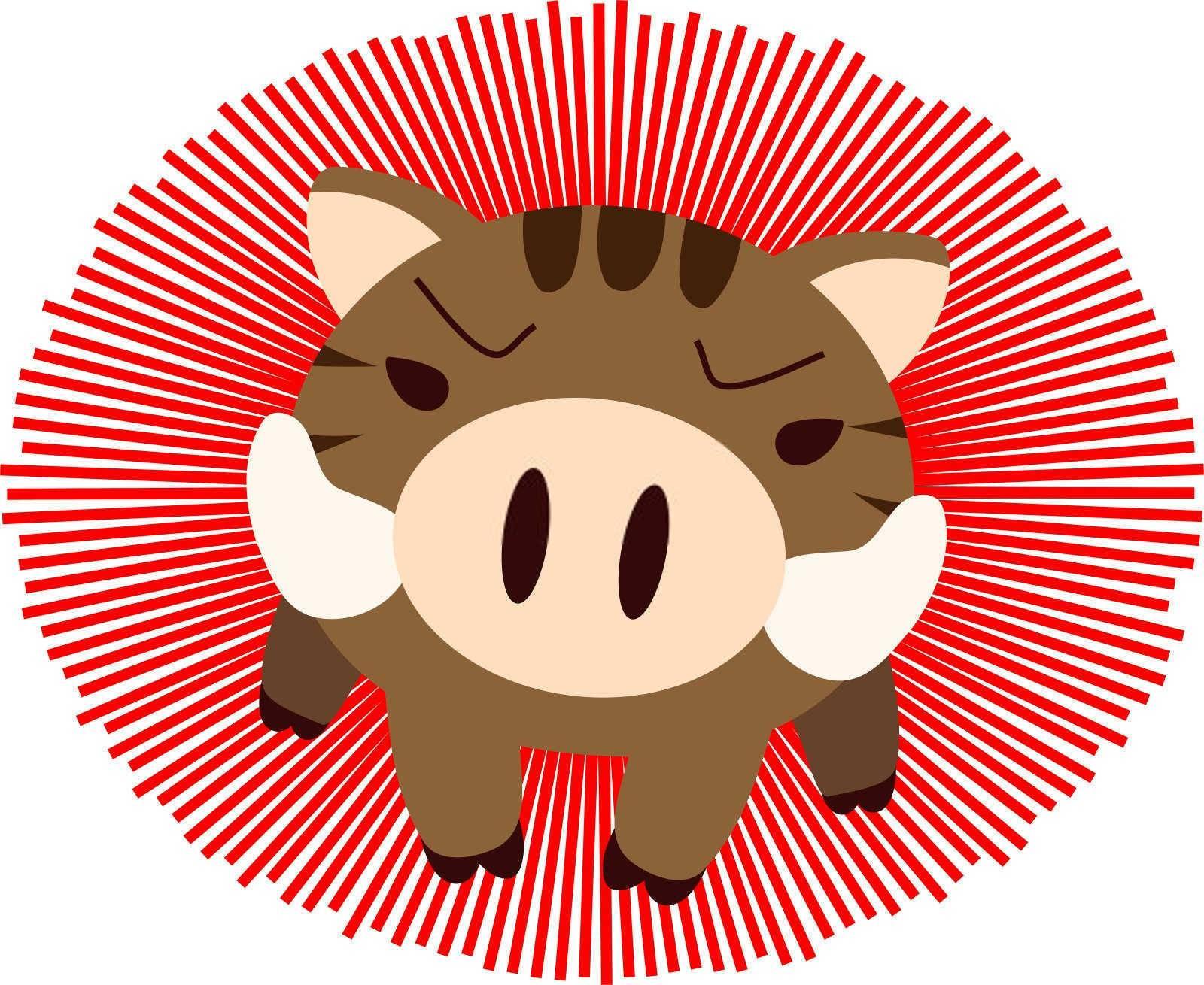 十二生肖属什么的人长得最好看？