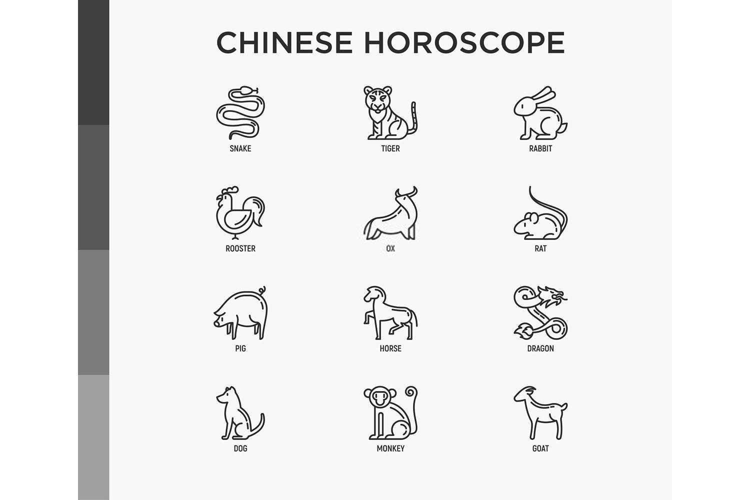 2025年属什么生肖属相？
