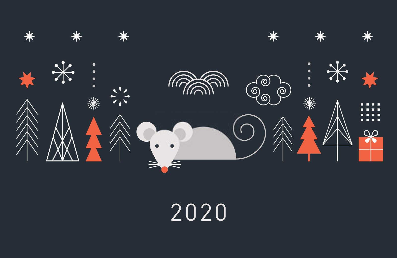2024年属兔是什么五行命？