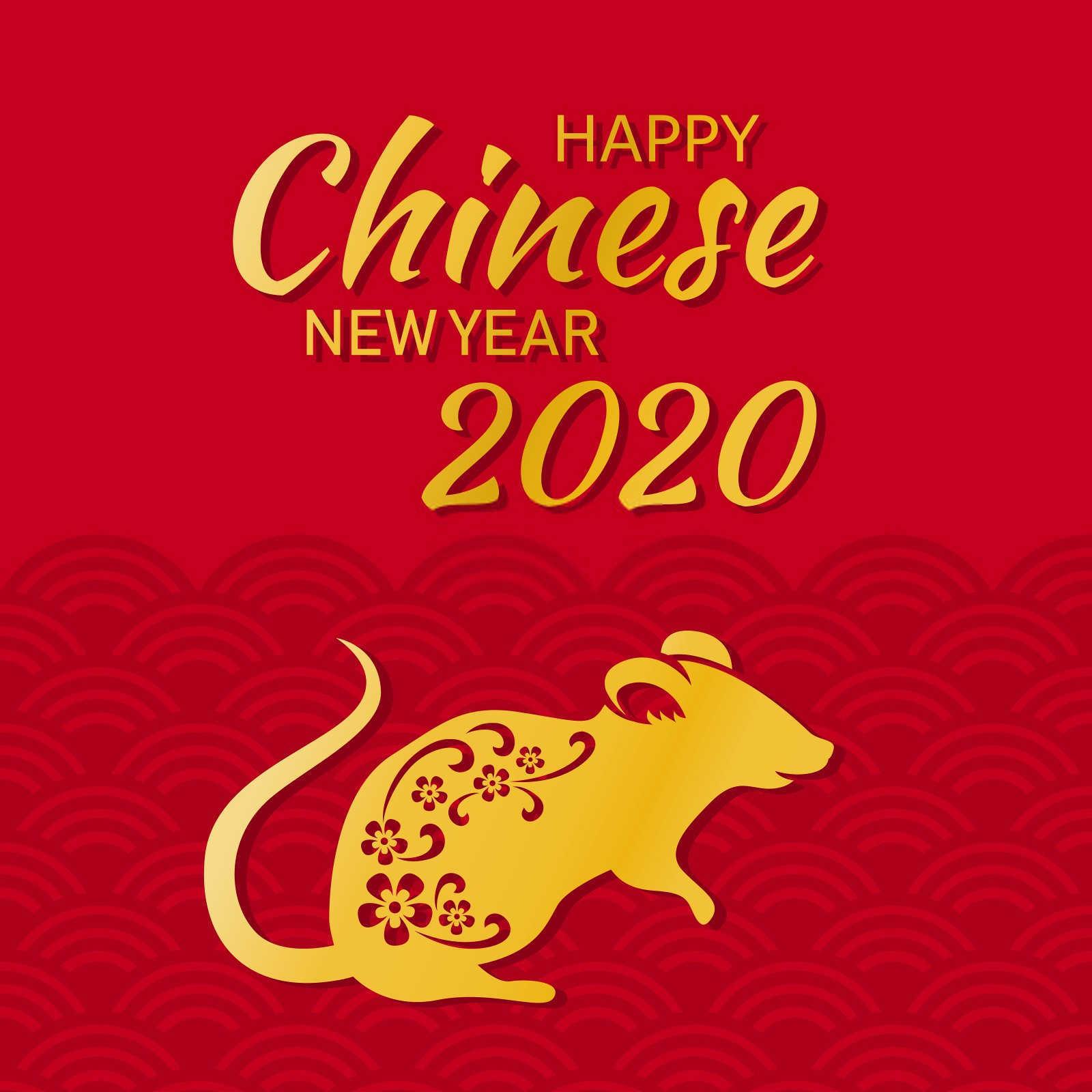属相婚配与八字婚配哪个准？