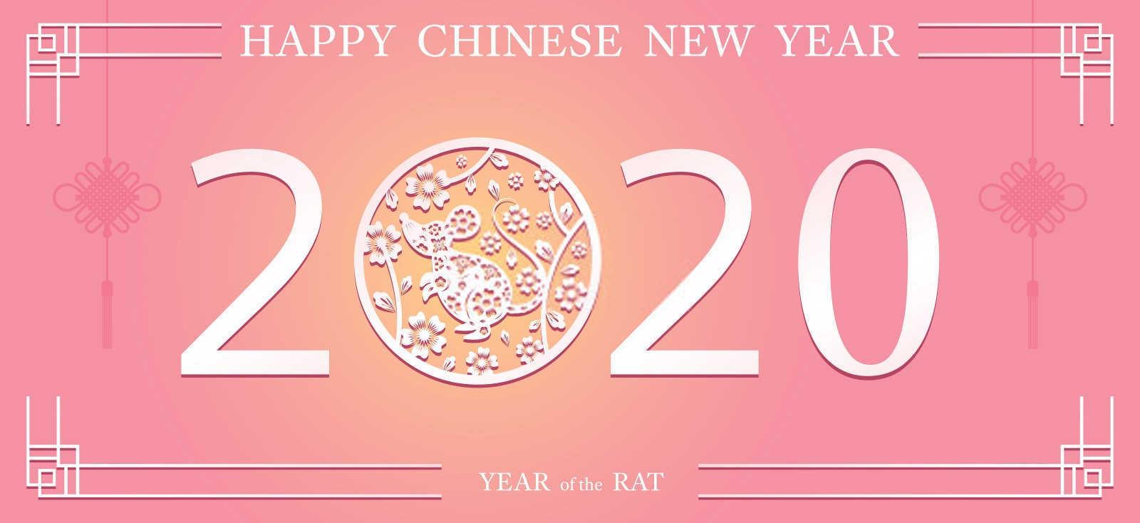 2024适合什么属相生孩子？