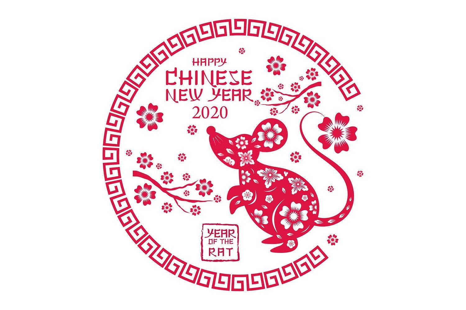 属猴女财运提升秘籍：招财首饰搭配艺术