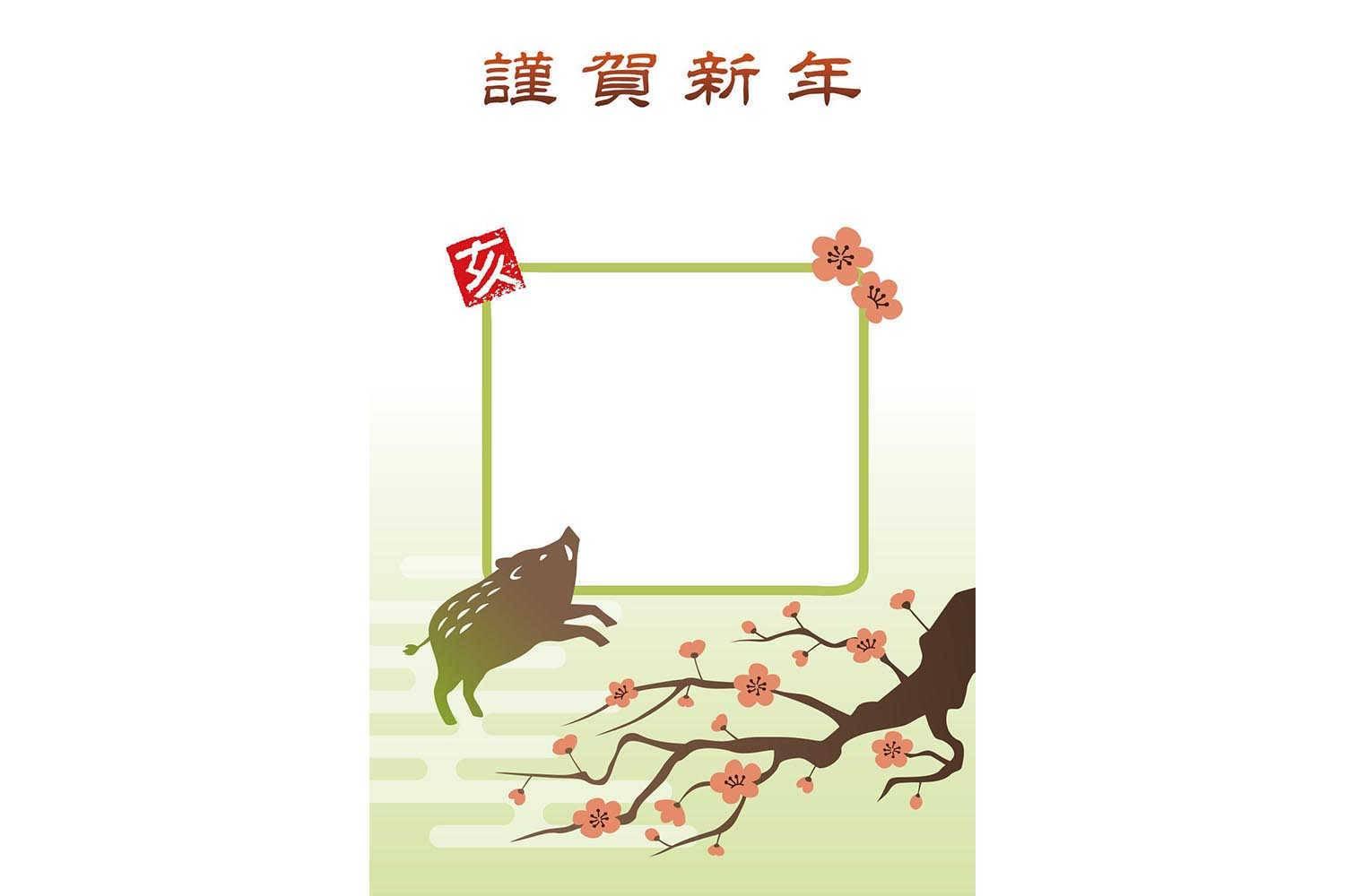 女鸡配什么属相合适：揭秘十二生肖的完美匹配？