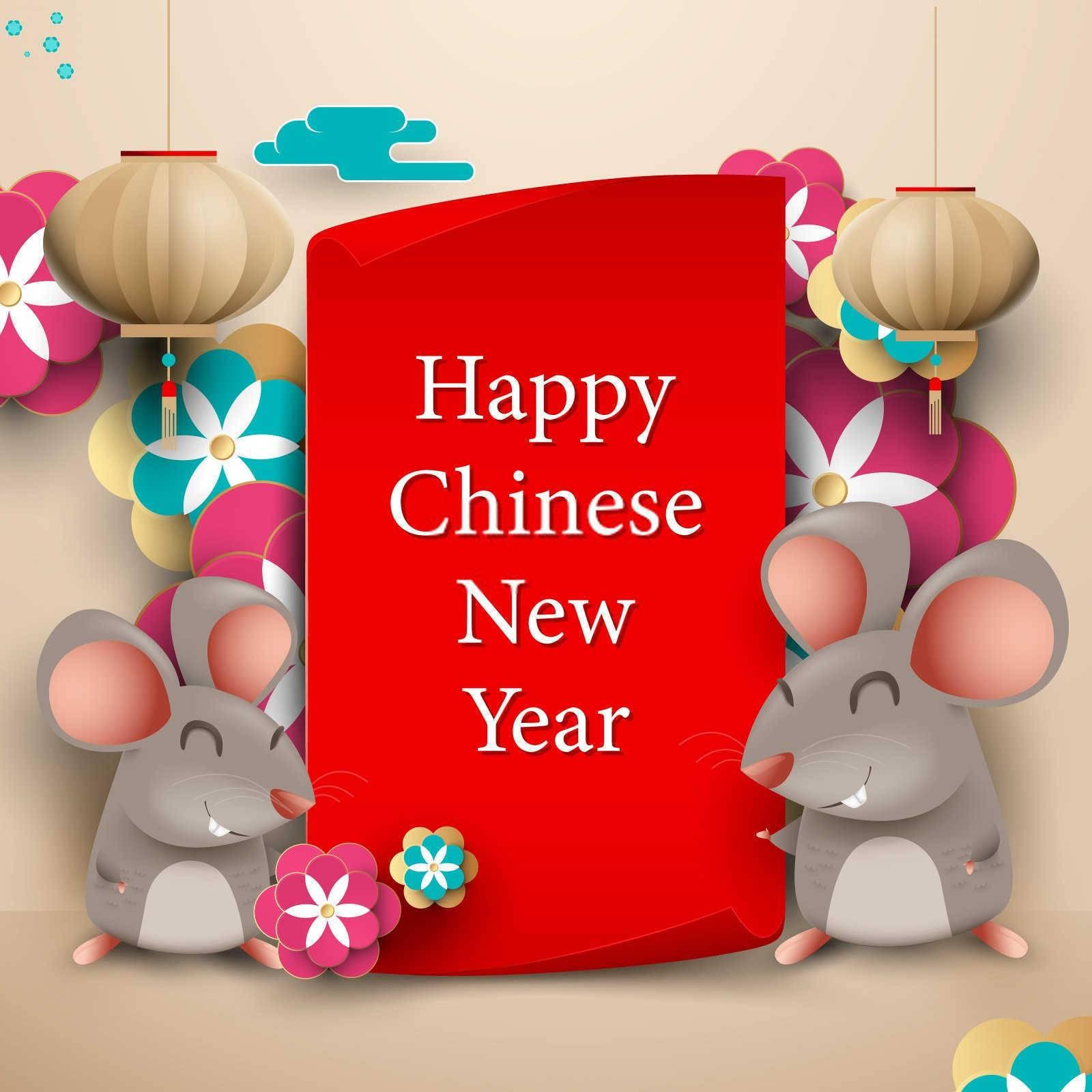 生肖虎和什么属相合作最好呢？