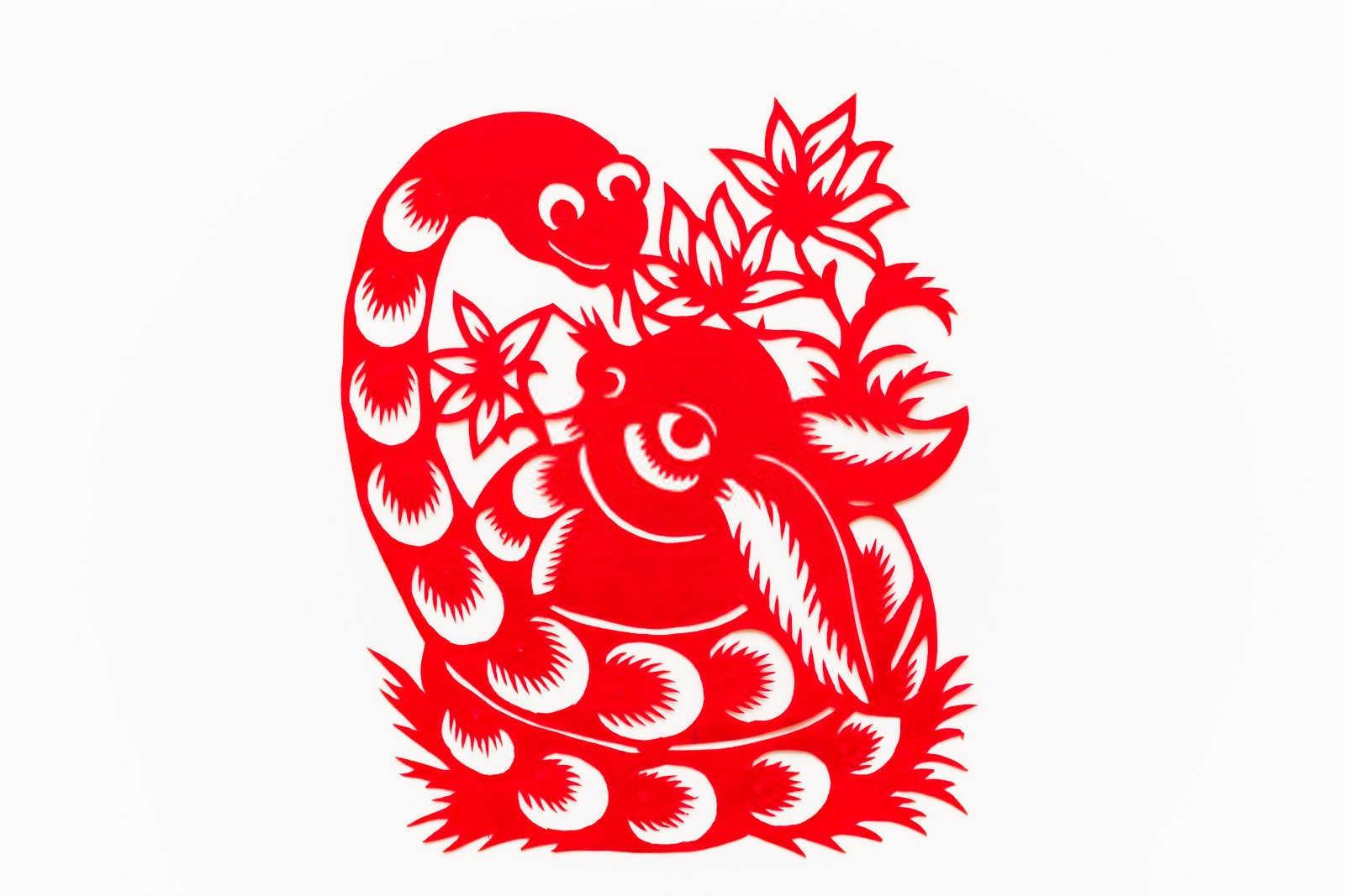 属鸡与属鸡：同羽相依还是同翼难飞？