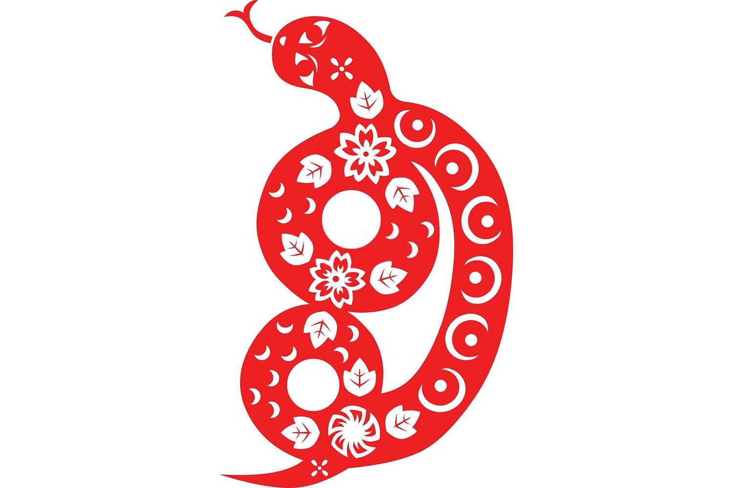 龙行天下：1988属龙人的婚缘长河