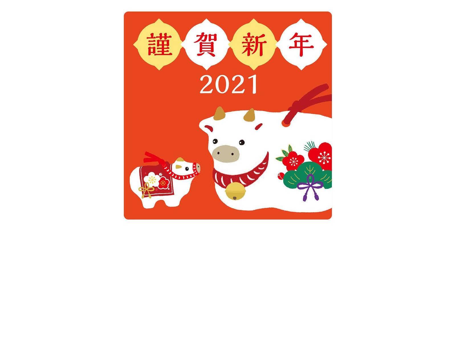 龙马精神：探讨属龙与属马父母的最佳宝宝属相选择