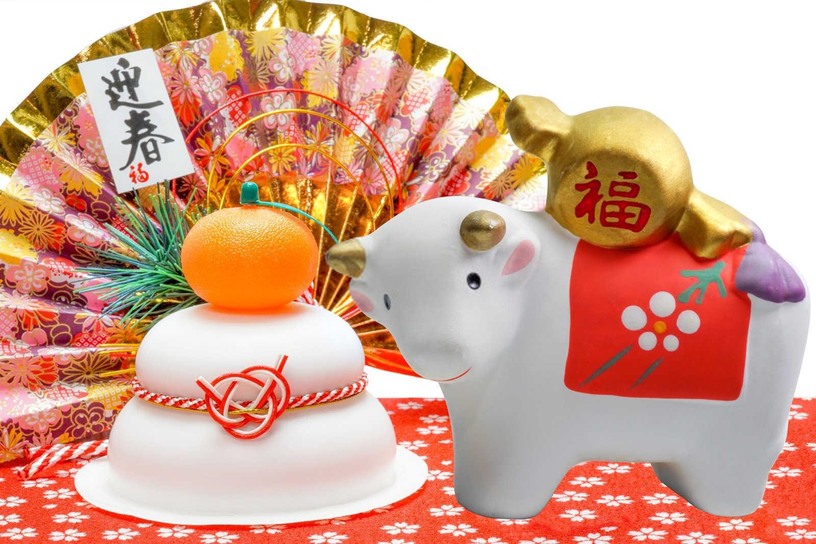 属蛇的人今年运气和财运怎么样？