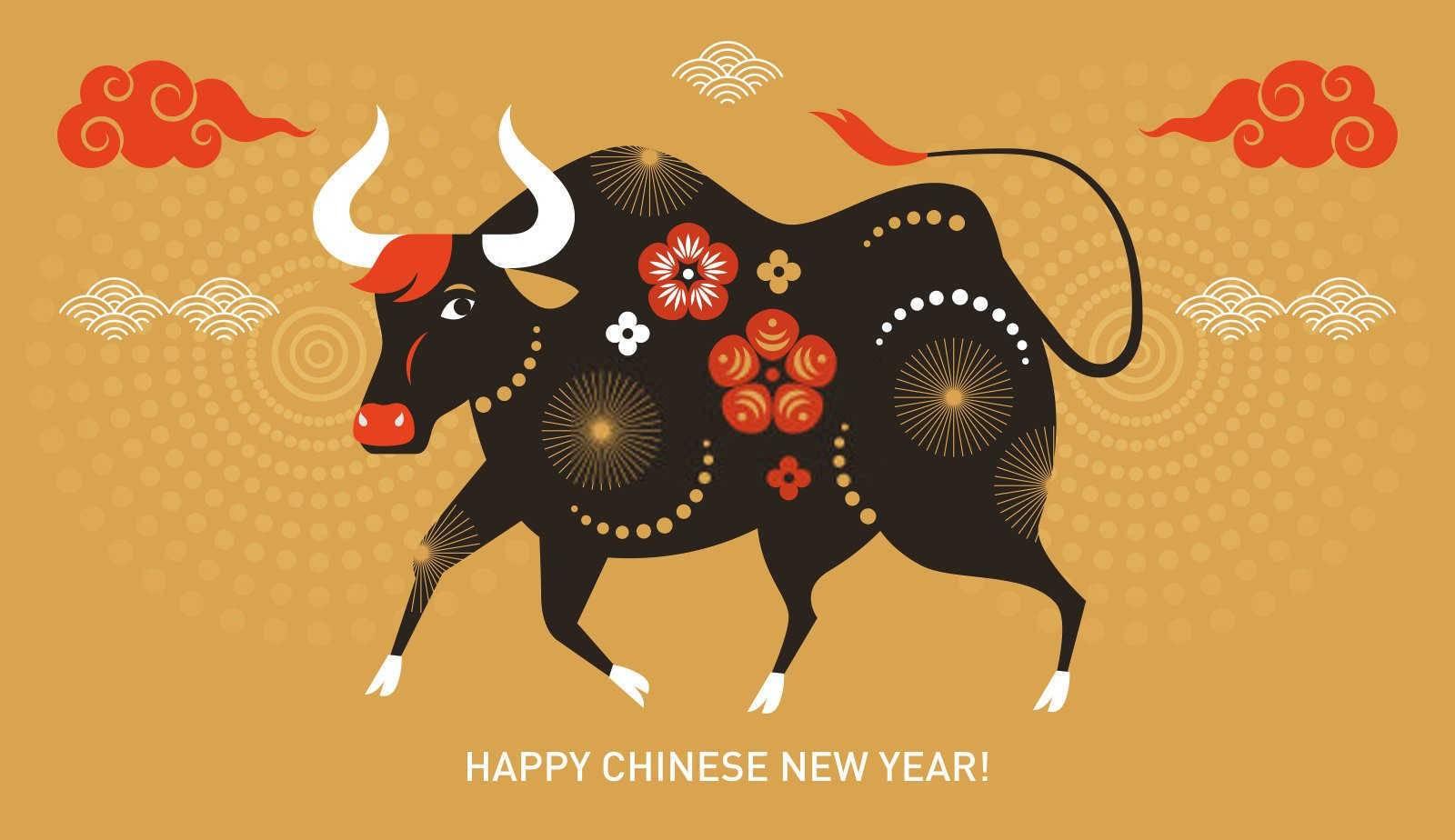 什么属相的人命好有福气？
