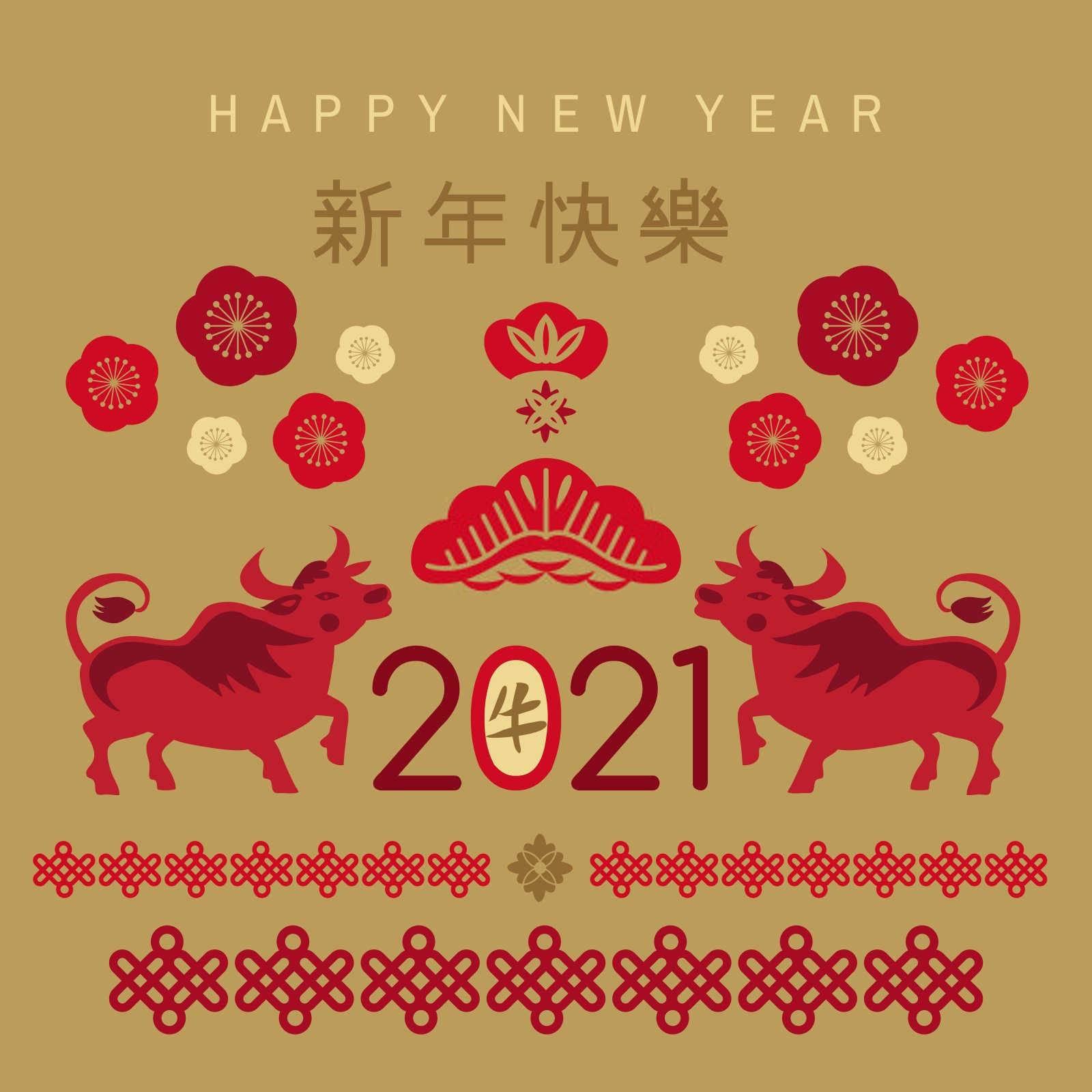骏马奔腾：揭秘属马生肖的奥秘
