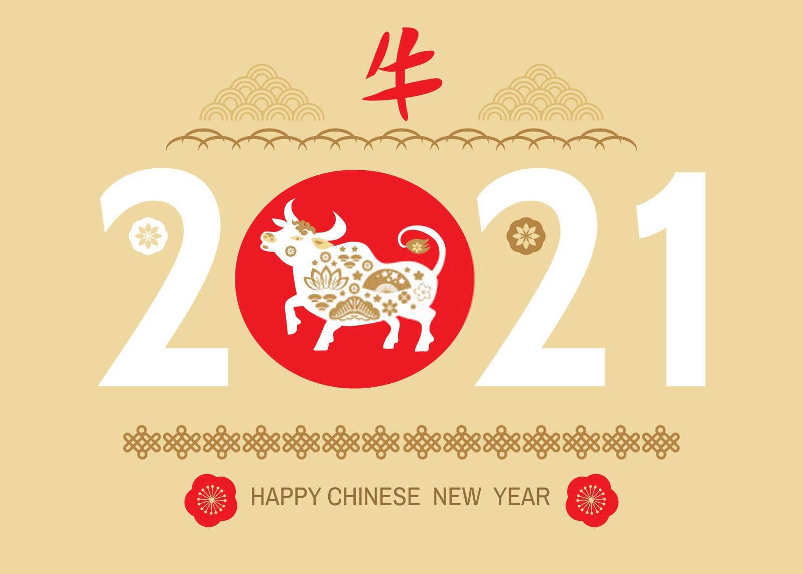 属牛的人不适合什么颜色？