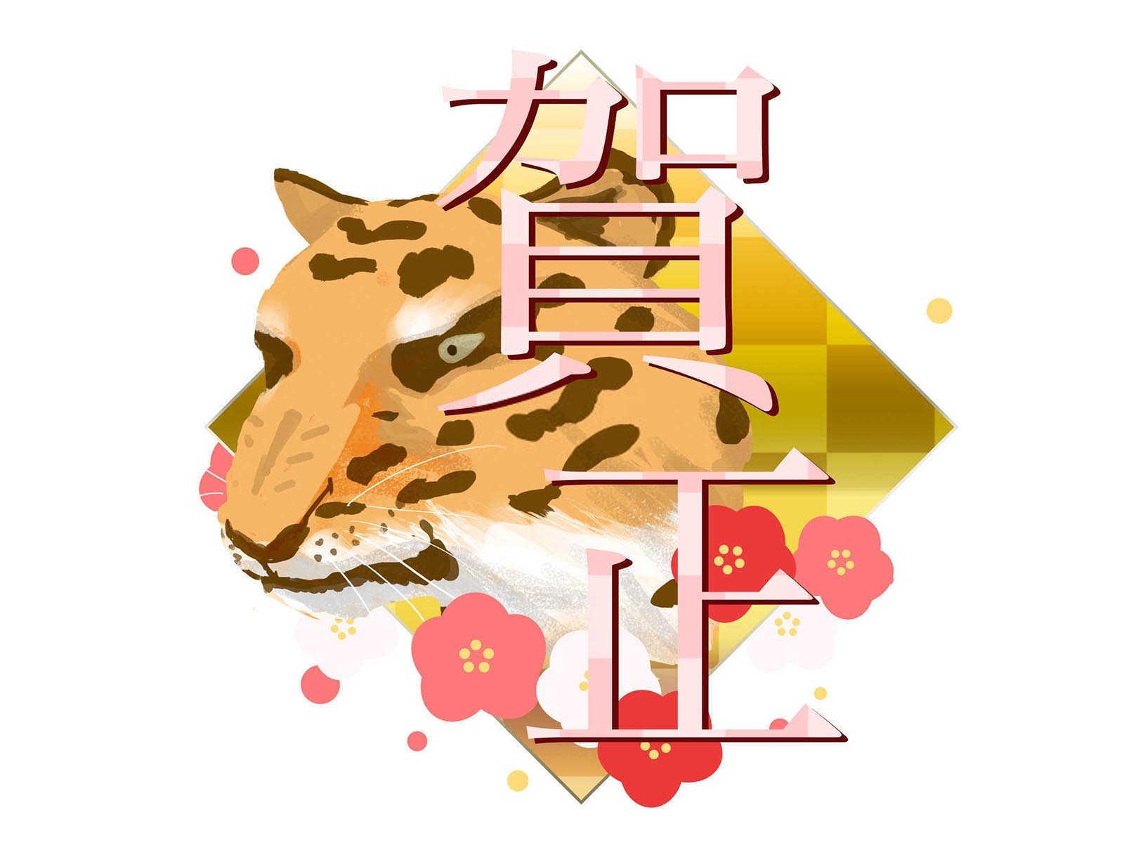 属猴的人可以生属兔的宝宝吗男孩？