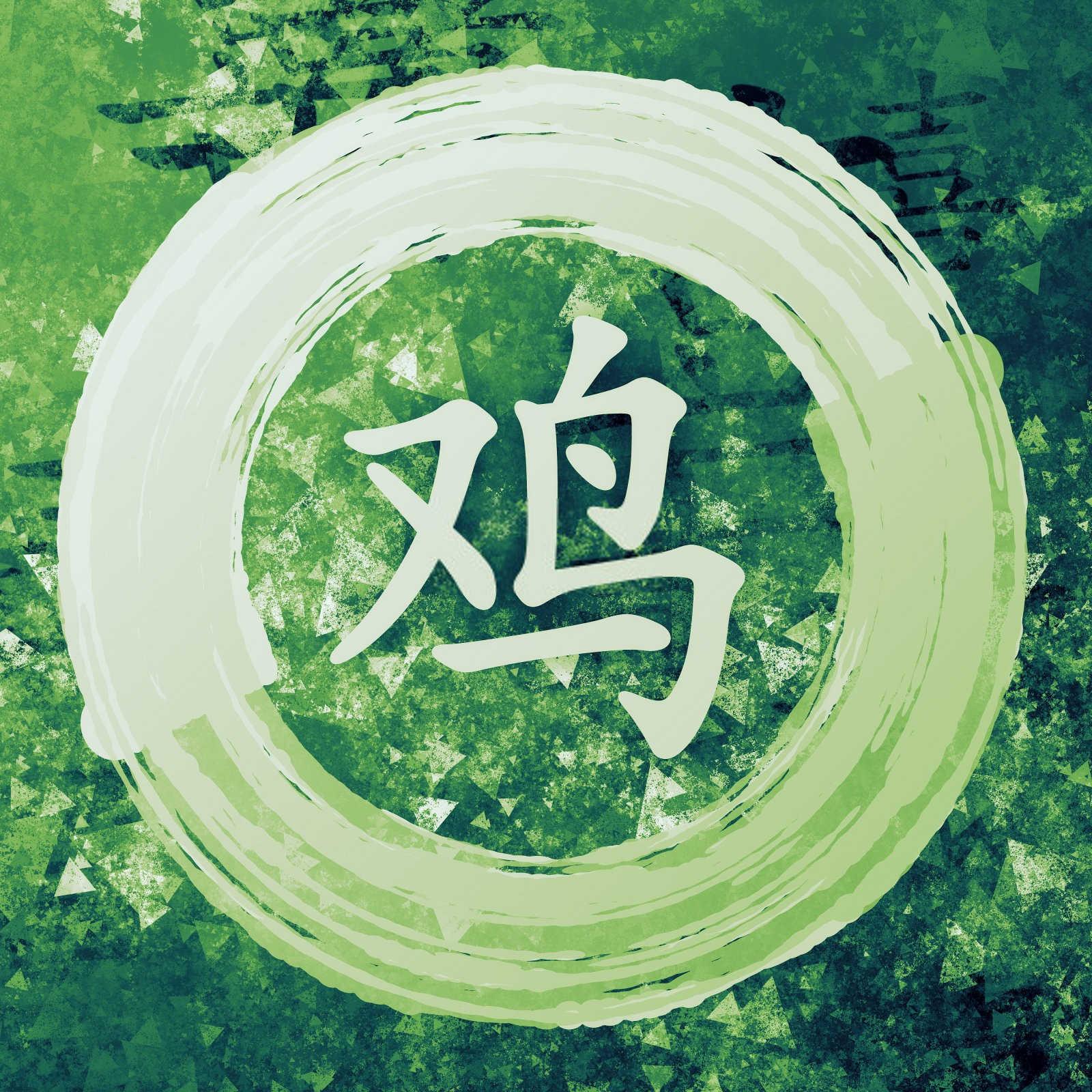 穿越时空的缘分：1977年属蛇与属猪的天作之合