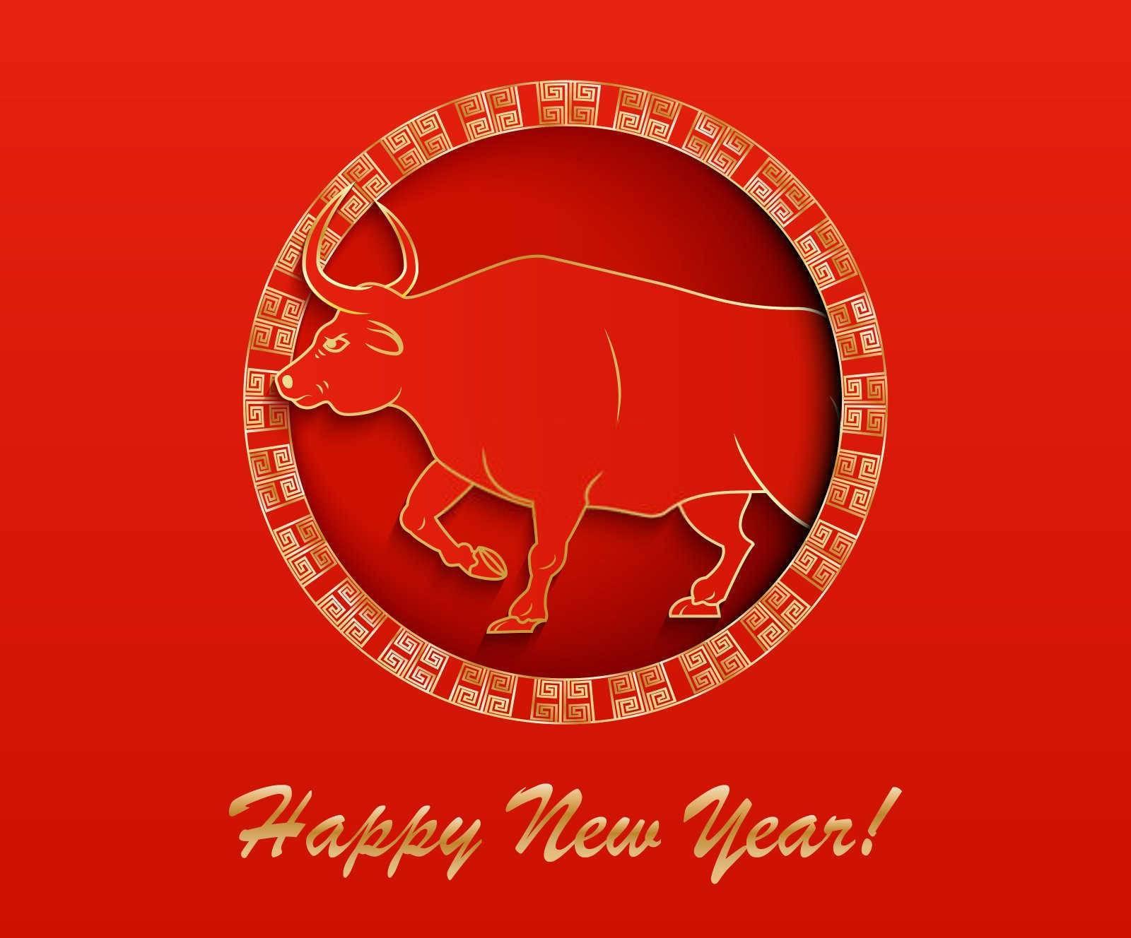什么属相配什么盆栽好看？