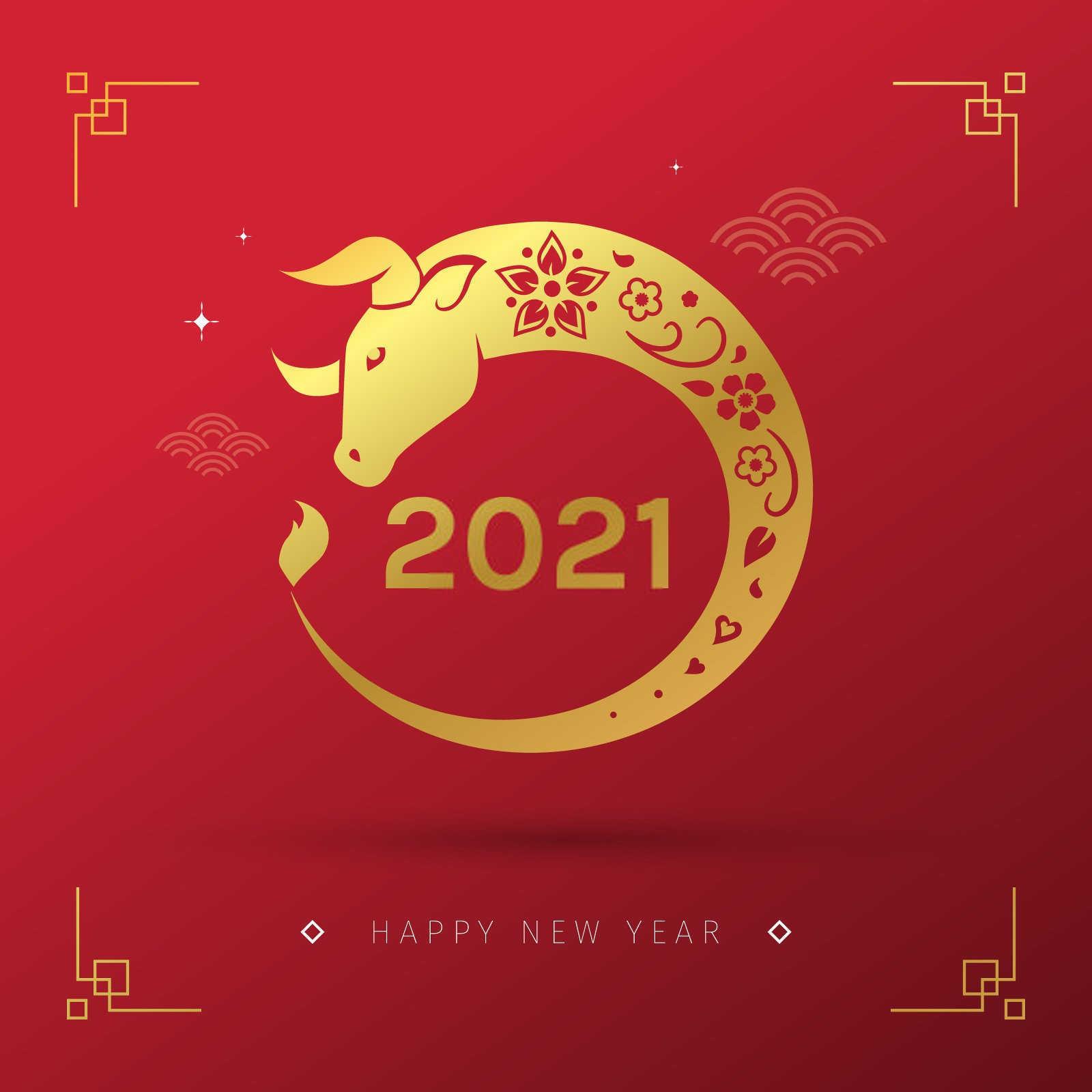 岁月轮回中的王者：探秘中国的大属相