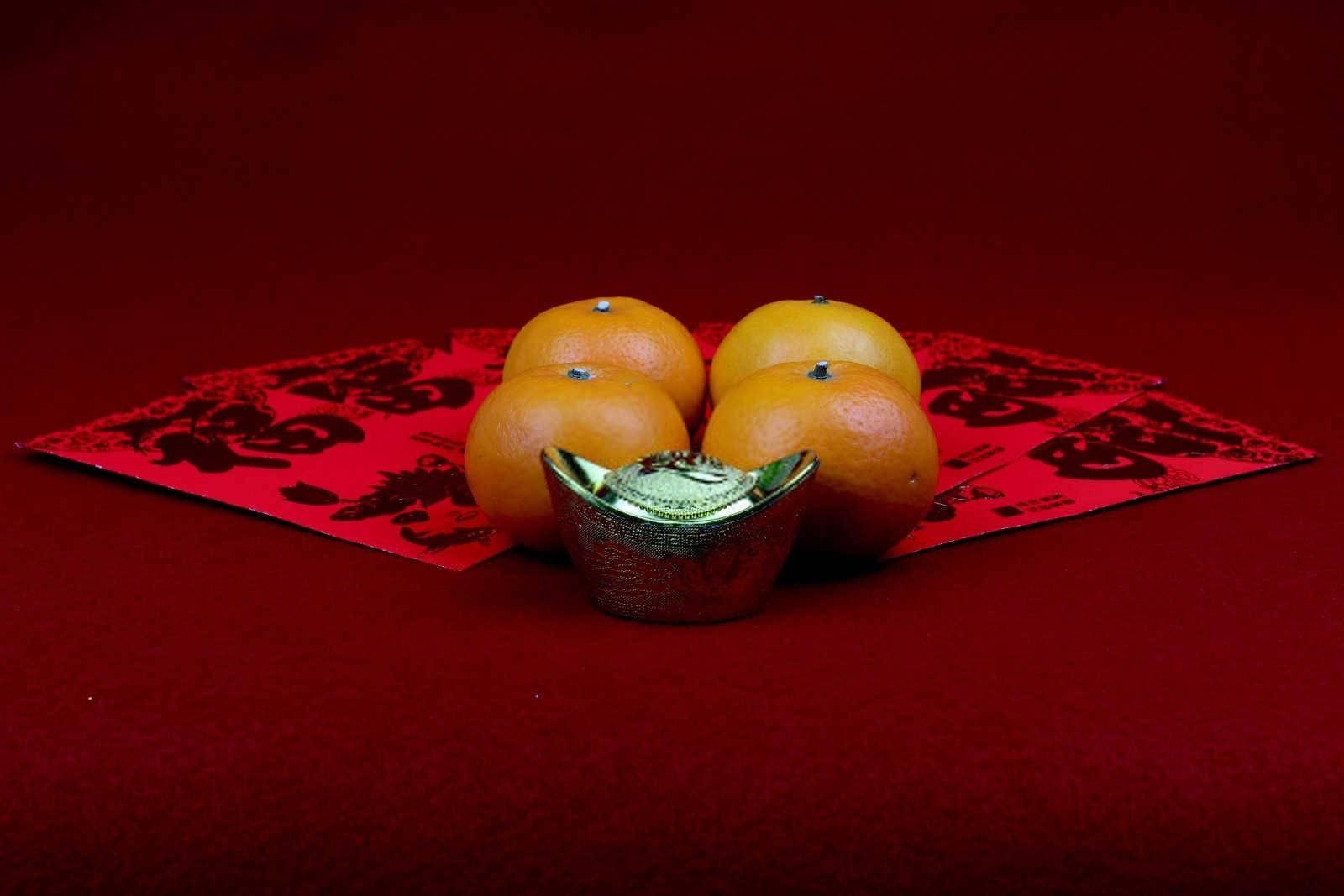 探索自然的奥秘：野肖与生肖的神秘联系