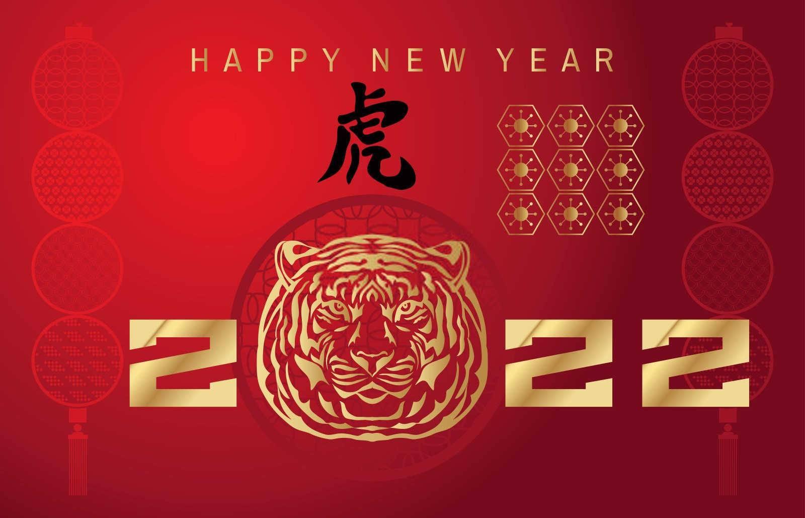 属兔今天运势好吗？