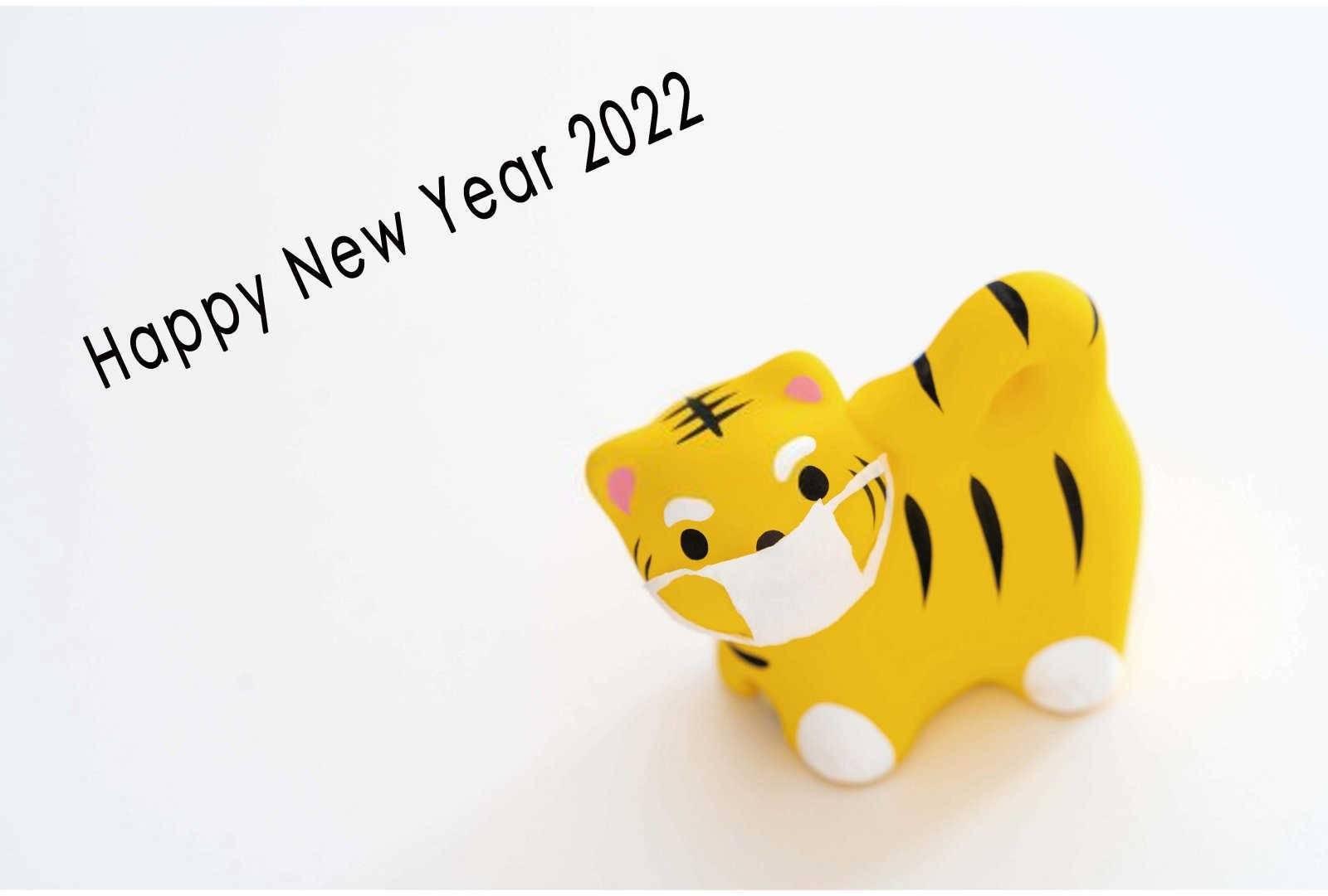 什么生肖的适合养猫？
