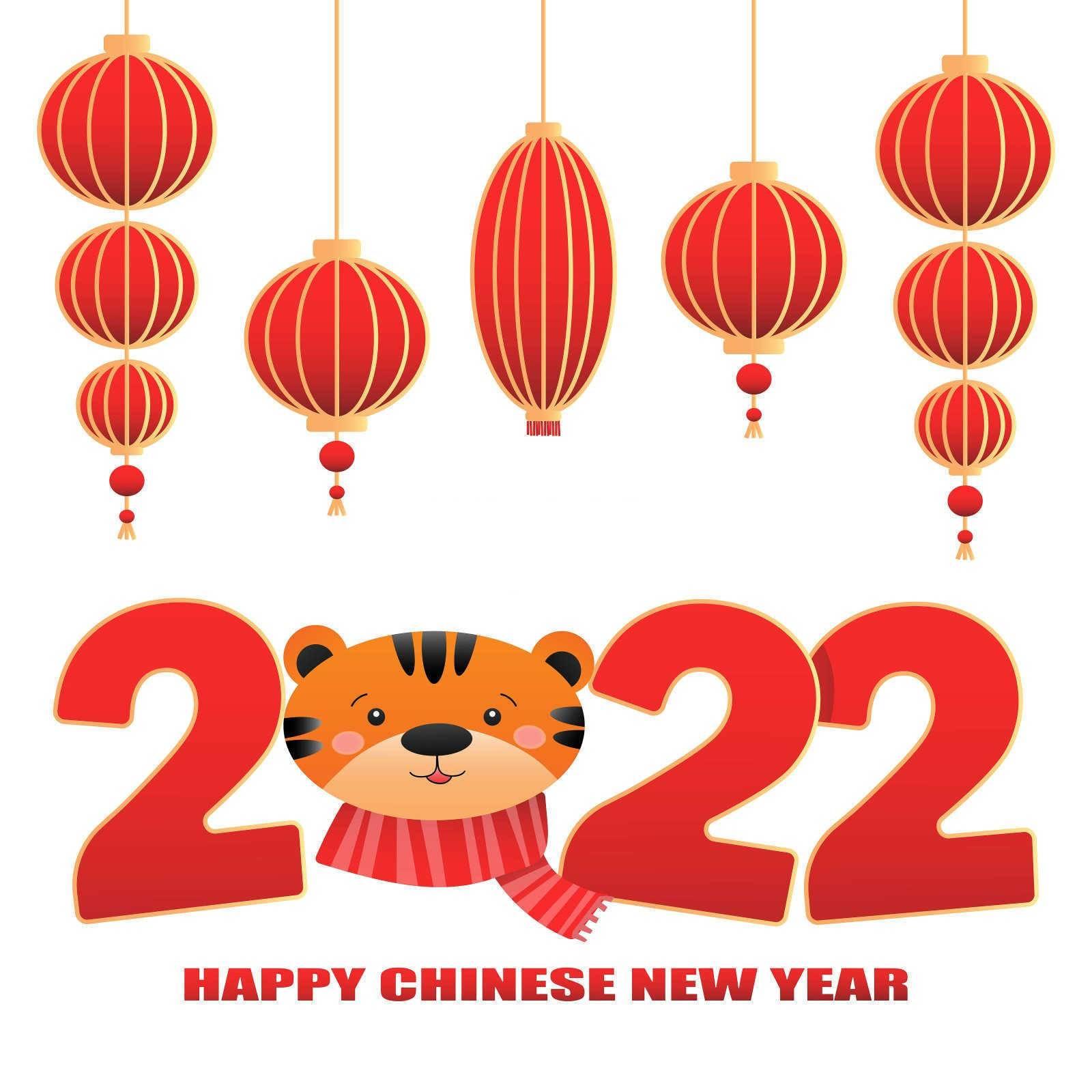 属猪的和属什么的配偶最合适？