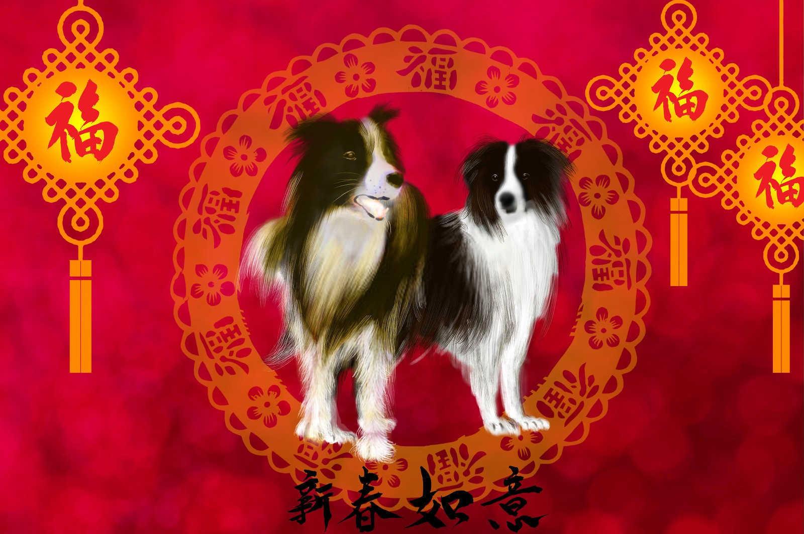 明天年属什么生肖？