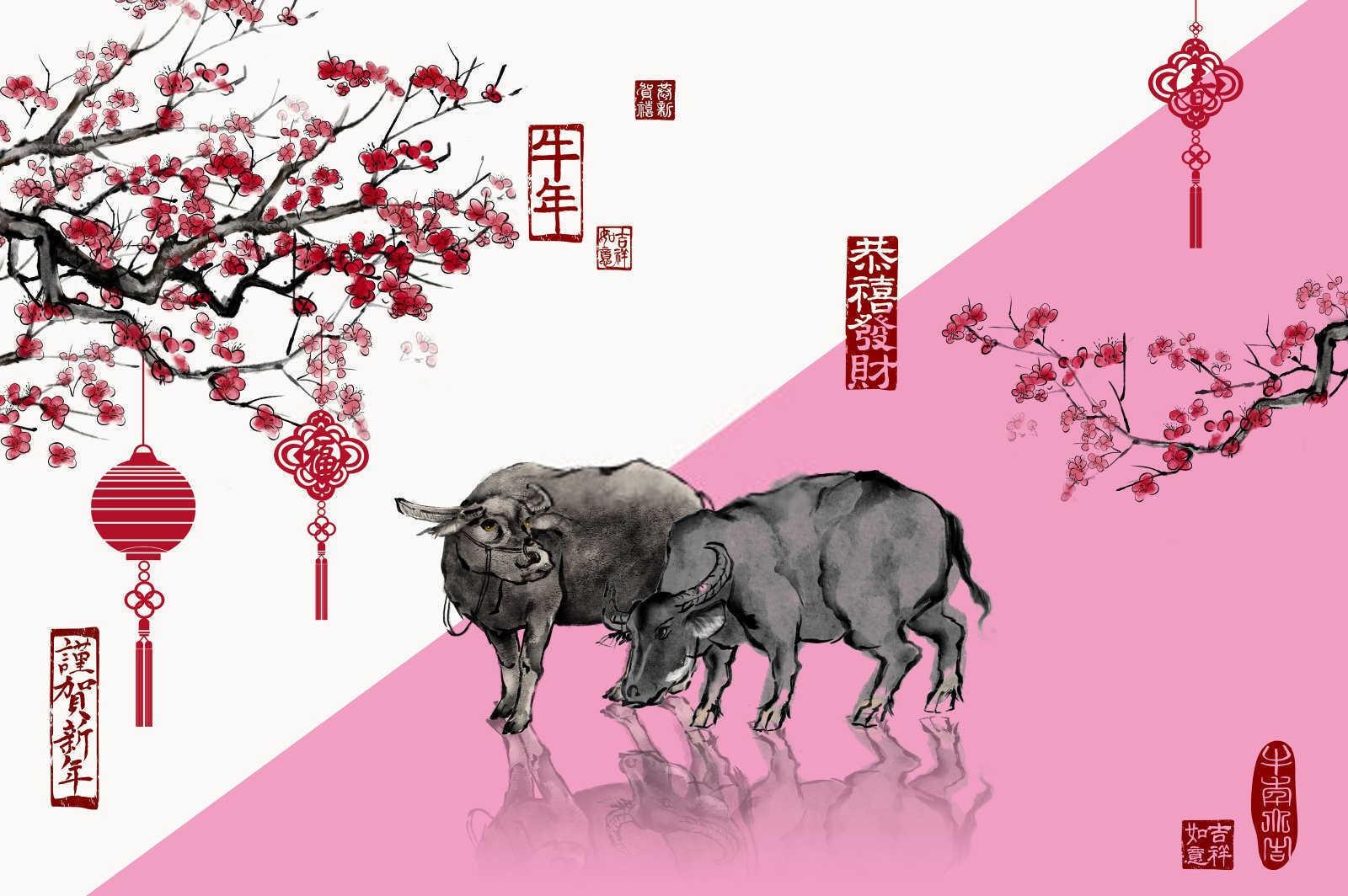 岁月轮回：属兔人的神秘出生年