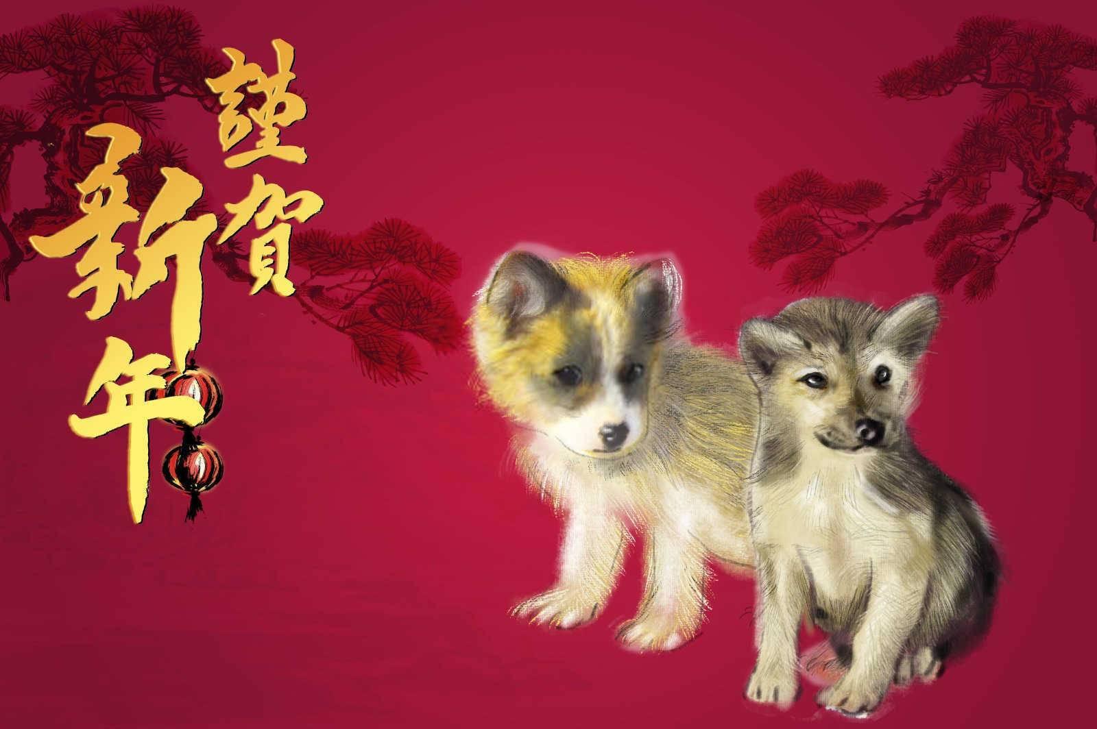 属羊的人都命不好吗？