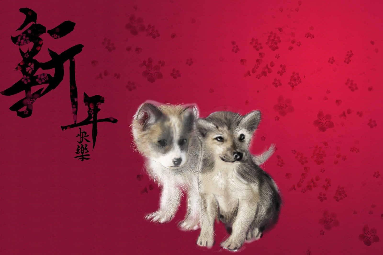 生肖猴和什么属相合财？