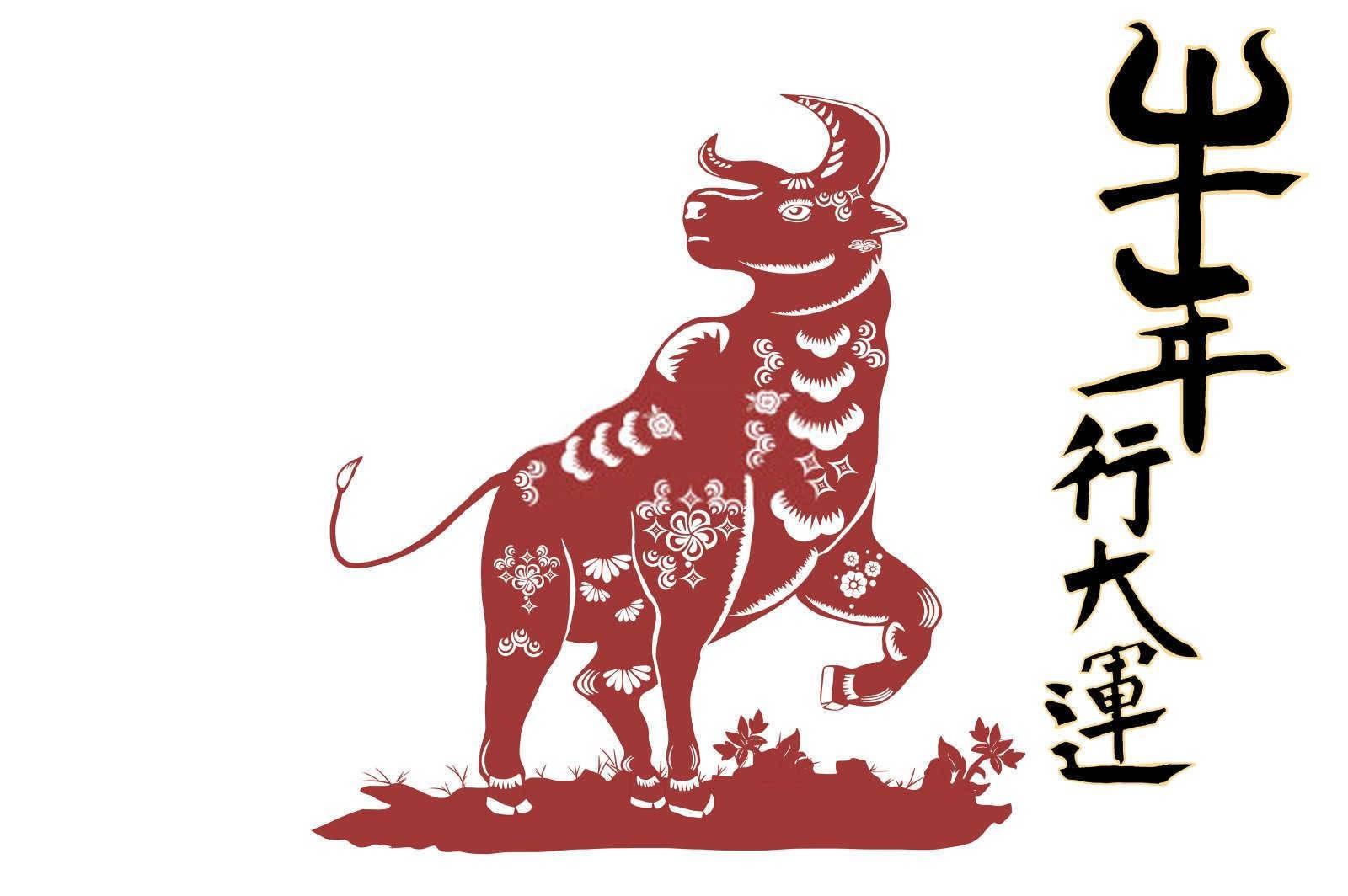 和谐共处：属狗与属牛的婚姻调和之道