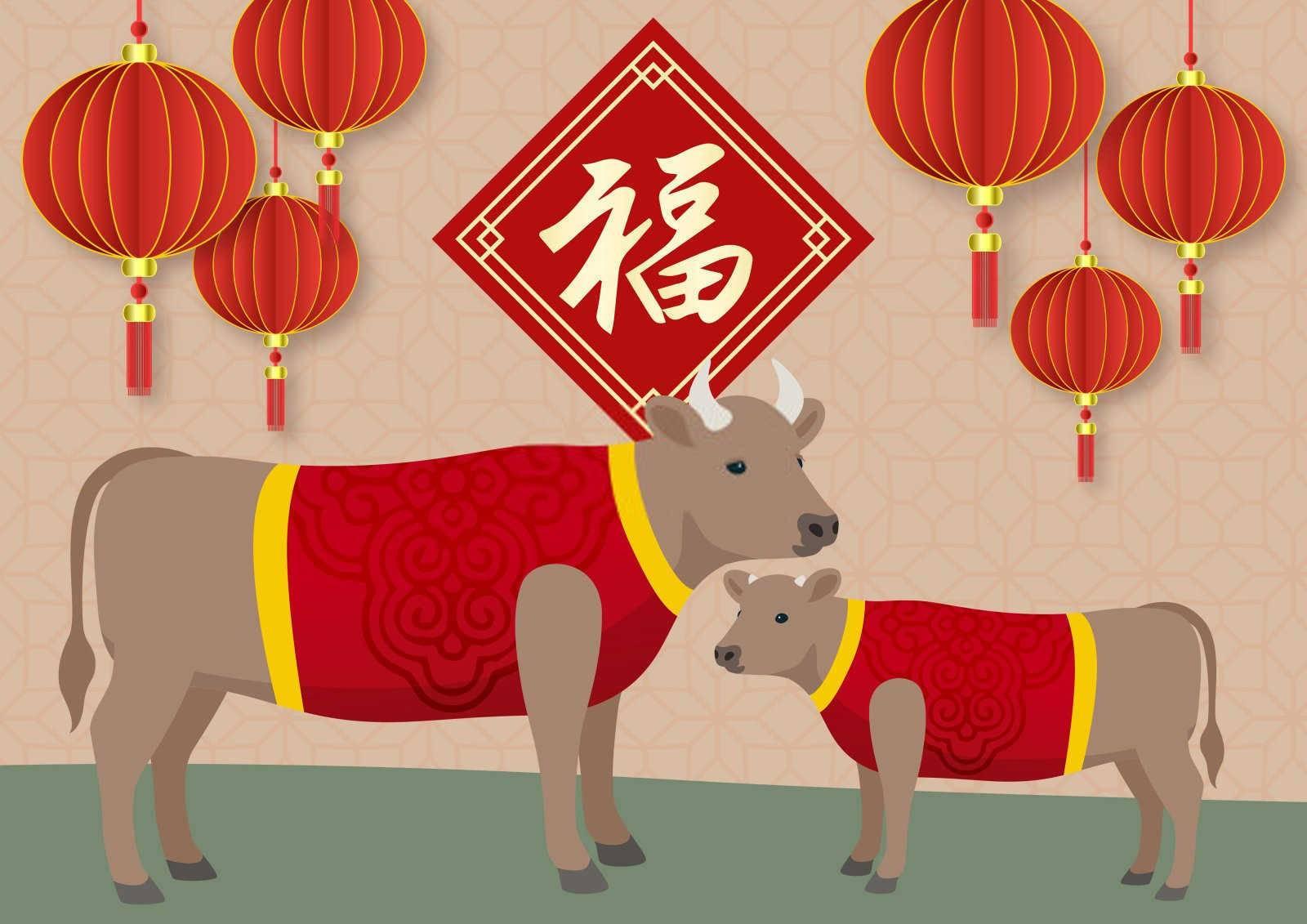12属相哪个属相命最差？