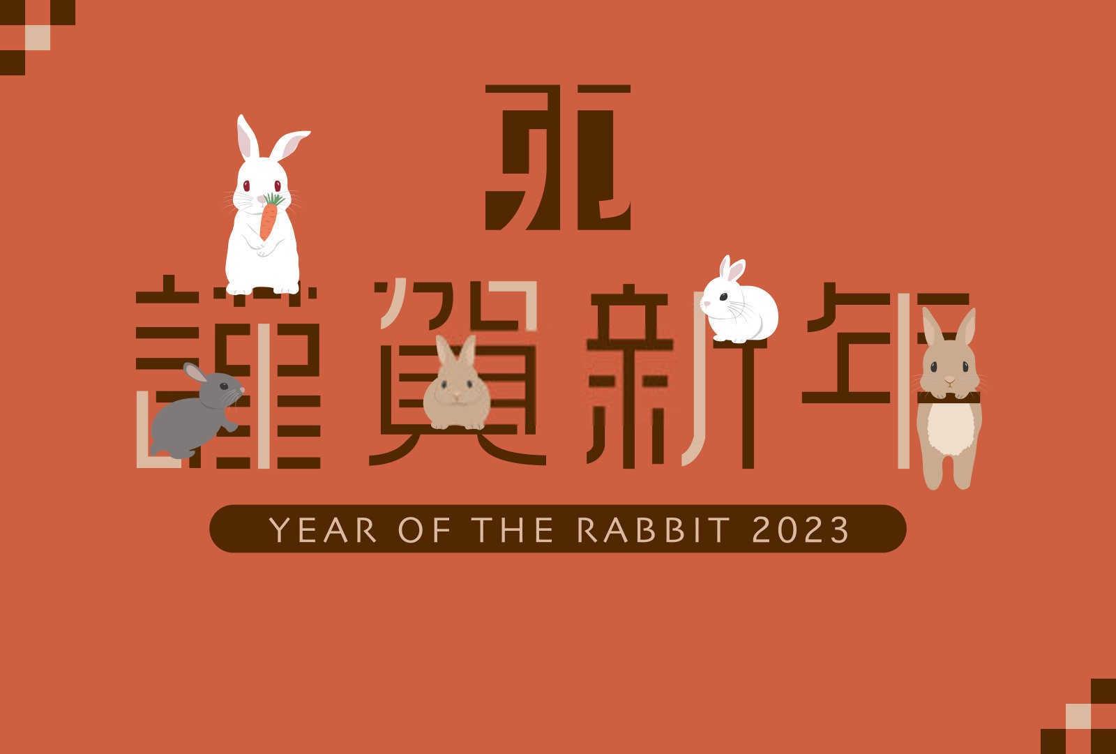 2025什么年生肖年？