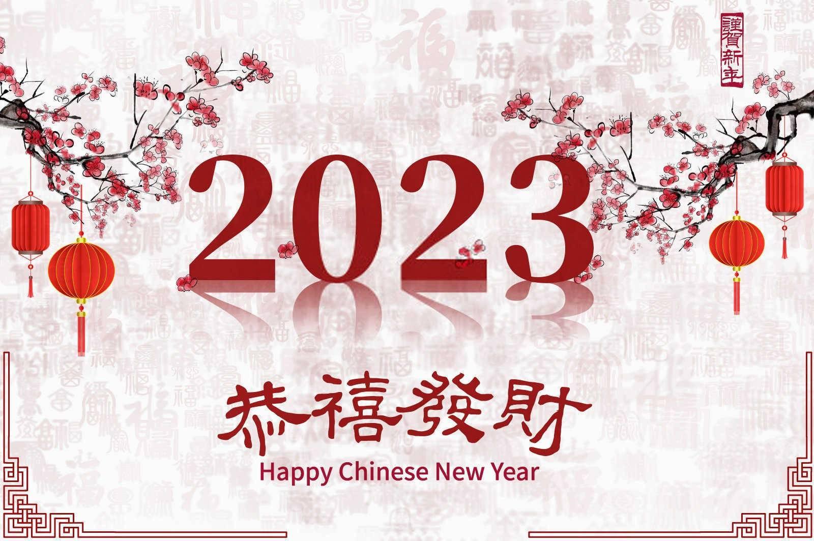 属马的在2025年运势如何？