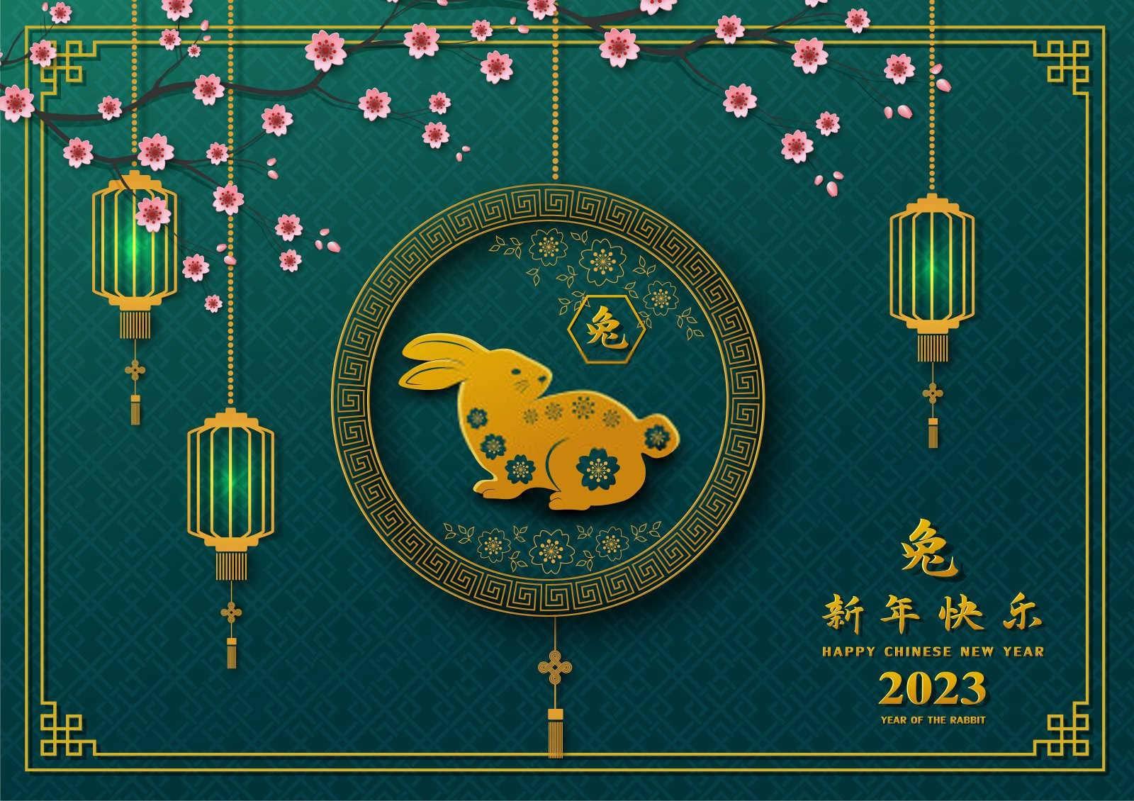 揭秘属龙人的最佳婚配年龄：古老智慧与现代生活的交融
