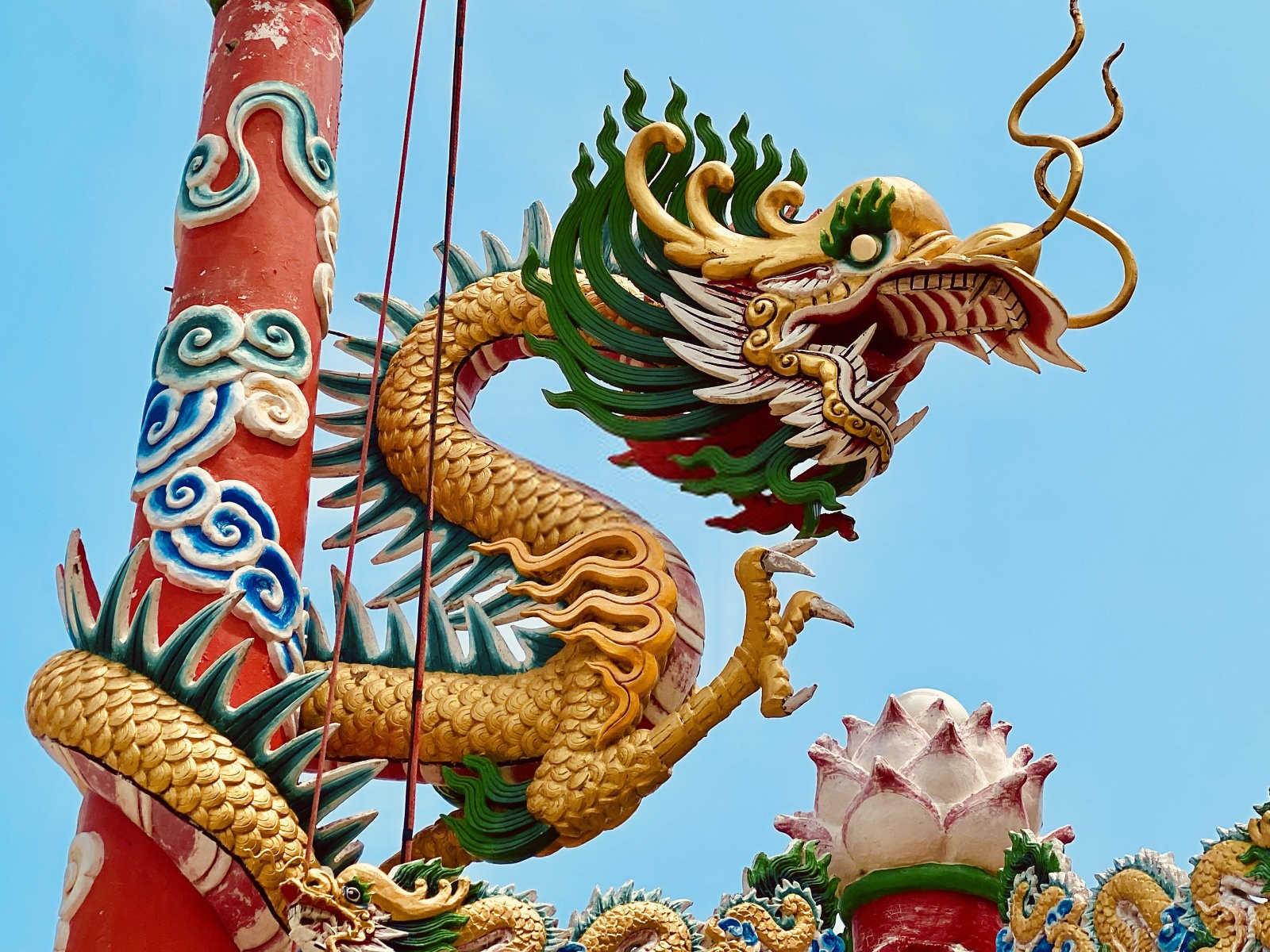 屡见不鲜是什么生肖？