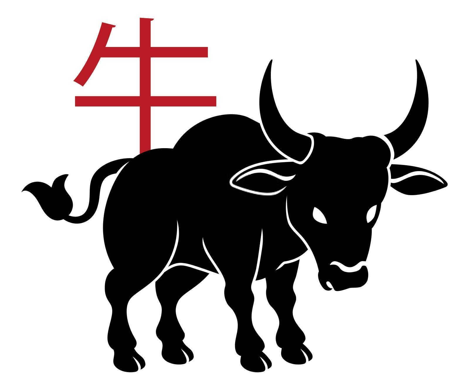2025年属于什么属相？