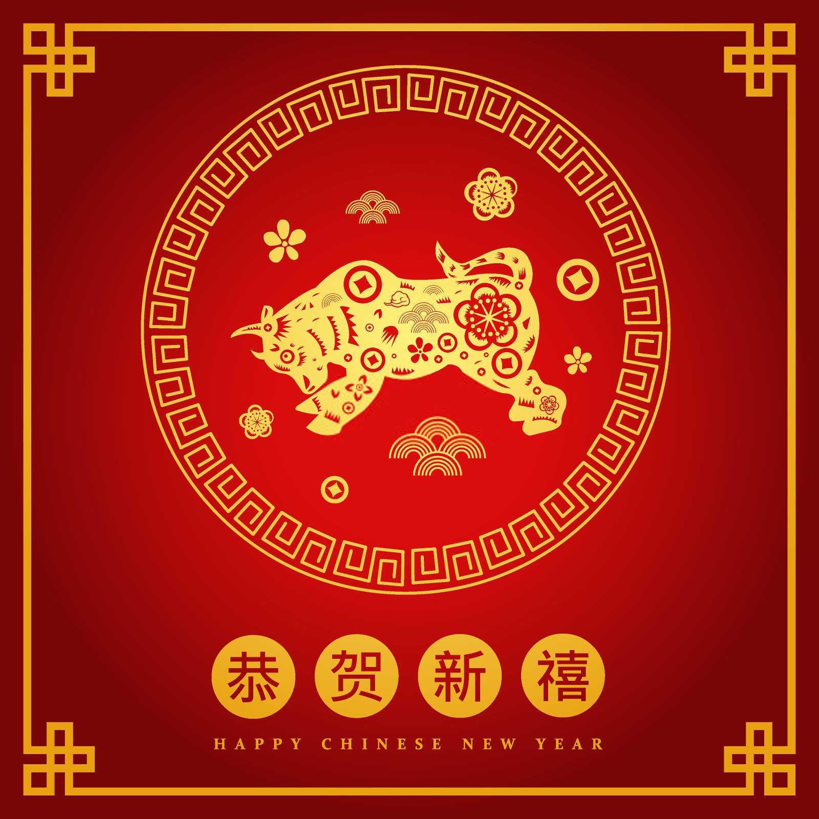 探究属兔人性格中的瑕疵：一种温和却可能令人不适的特质