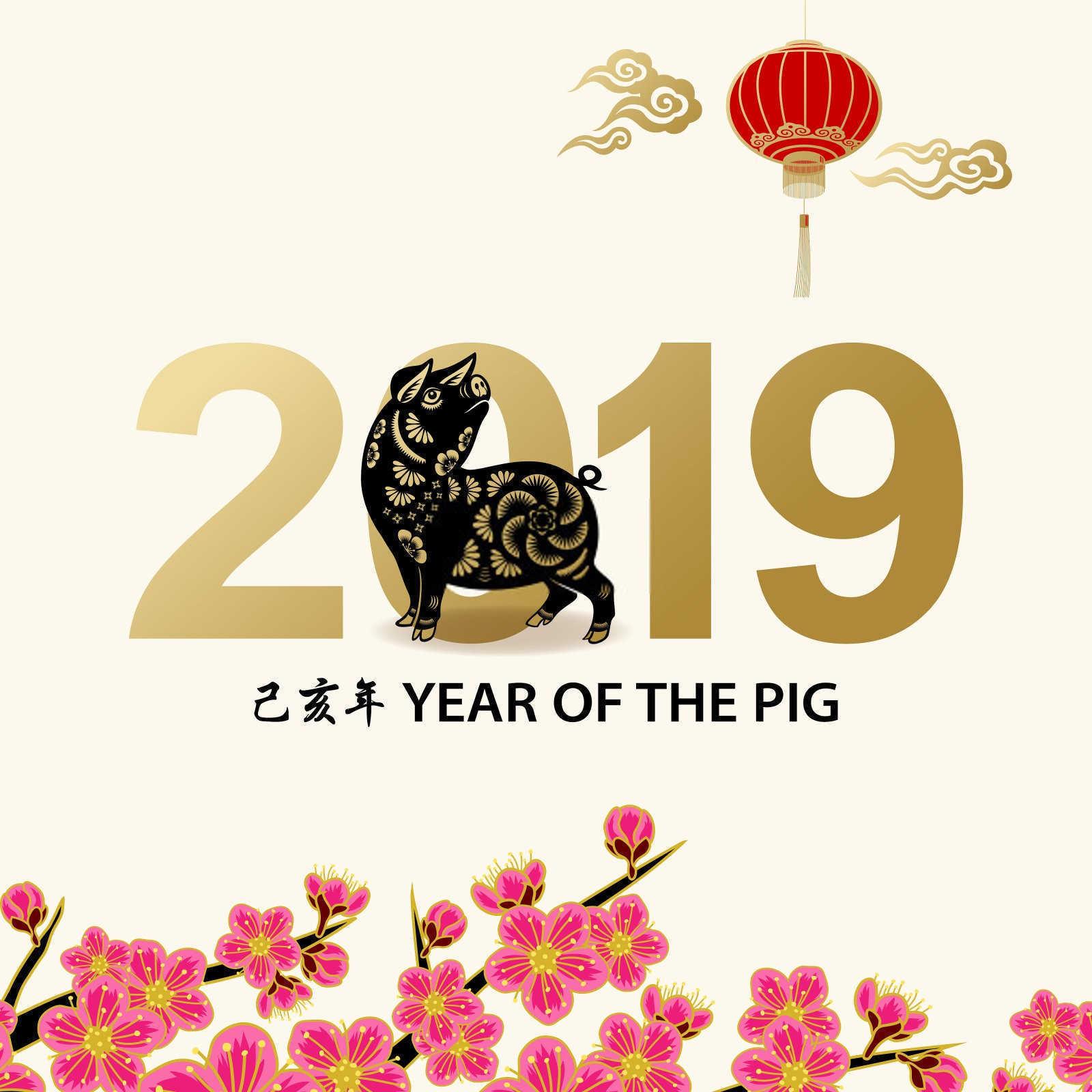 属牛人的今日运势详解：把握机遇，迎接挑战