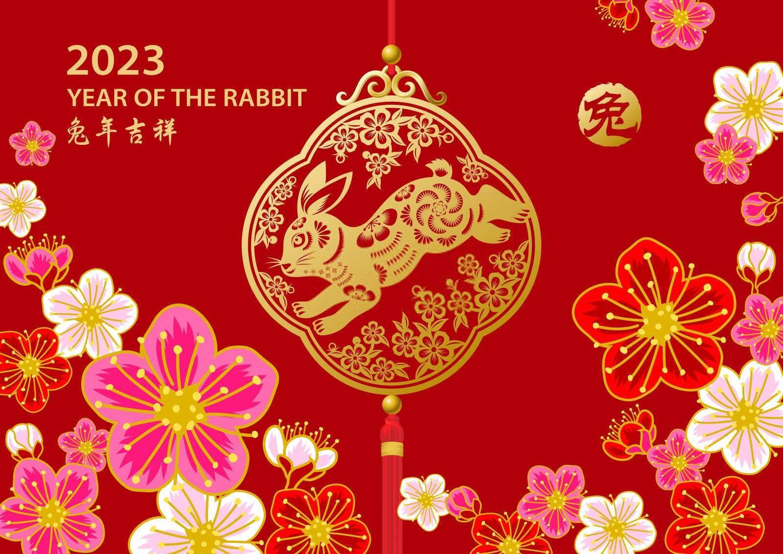 属兔人的晚年幸福探秘：宁静致远，福寿安康
