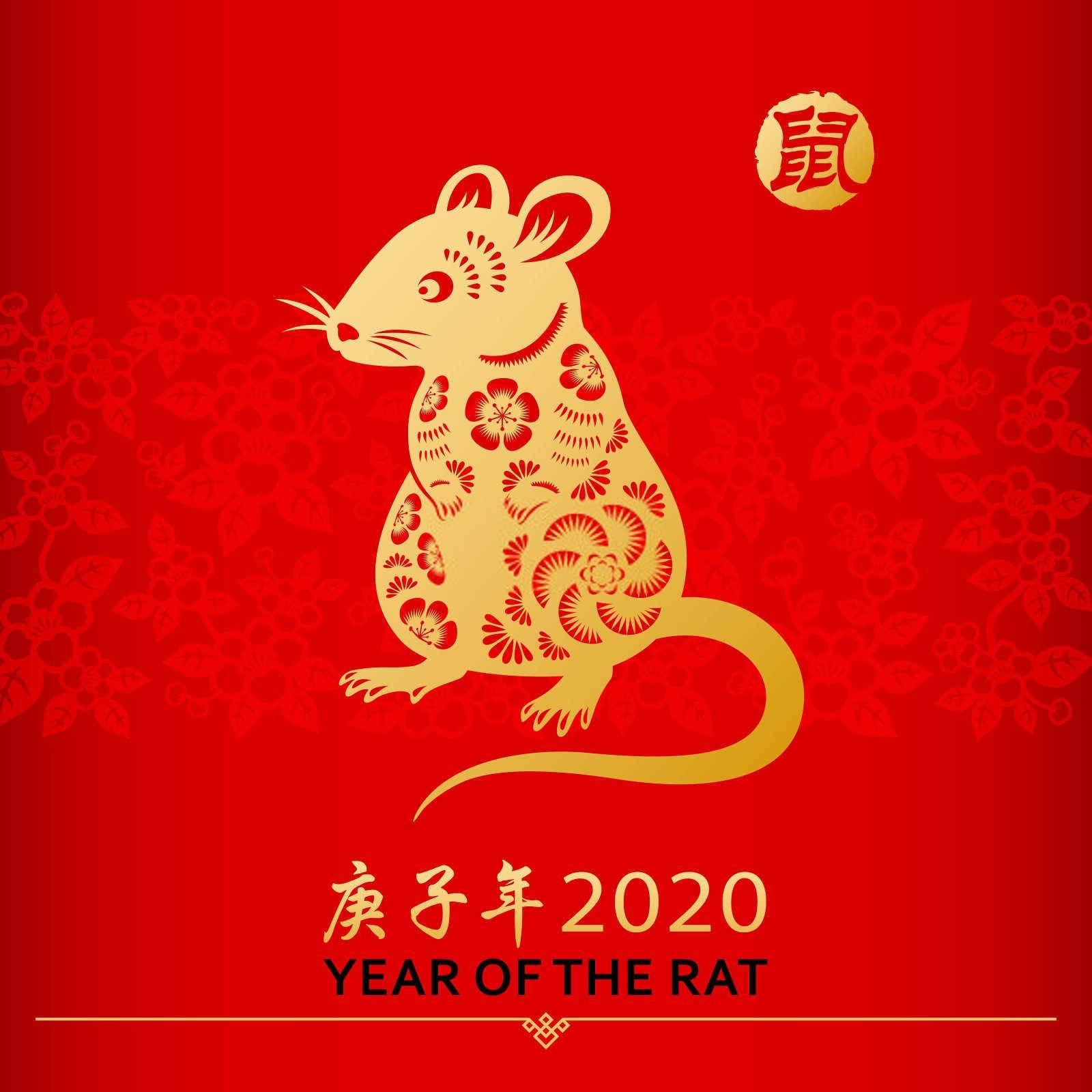 属相婚配很重要吗？