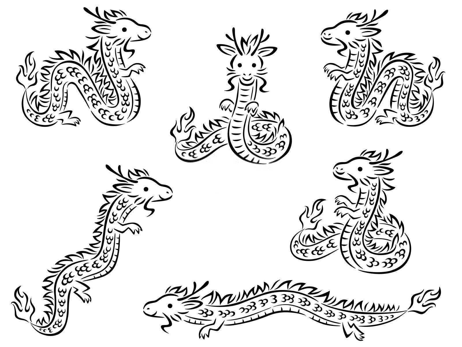 属虎用的字根有哪些？