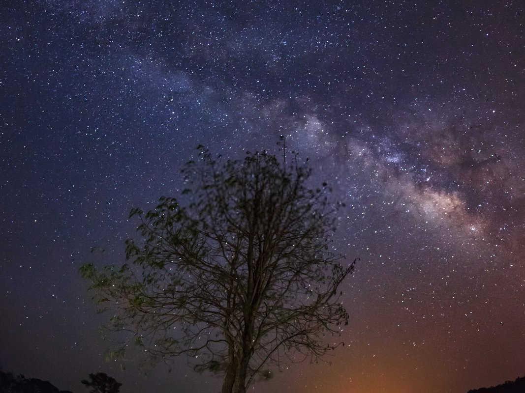 星座的感情运势可信吗男？