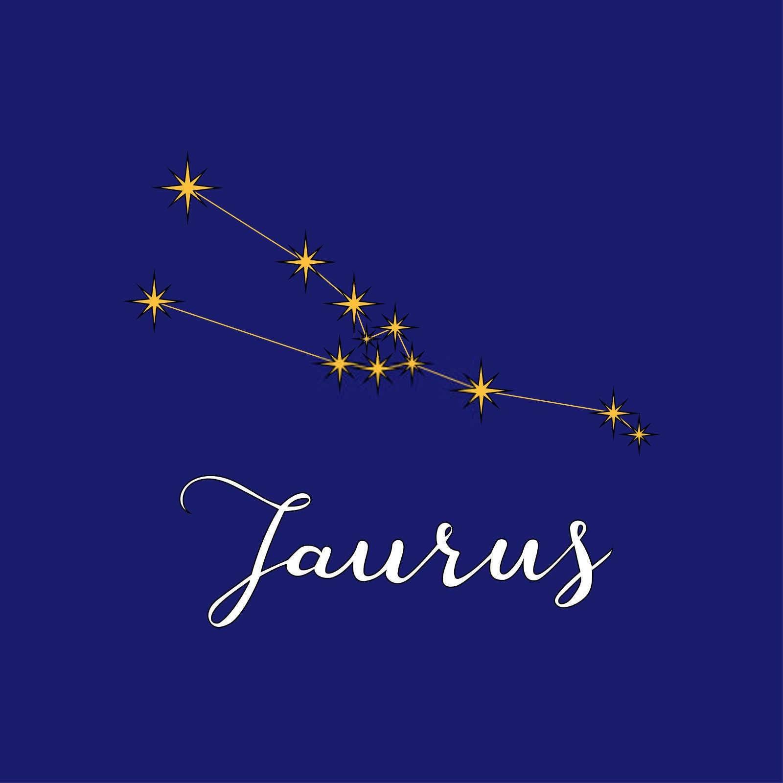 属虎家庭的宝宝选择：生肖、星座与个性的完美搭配